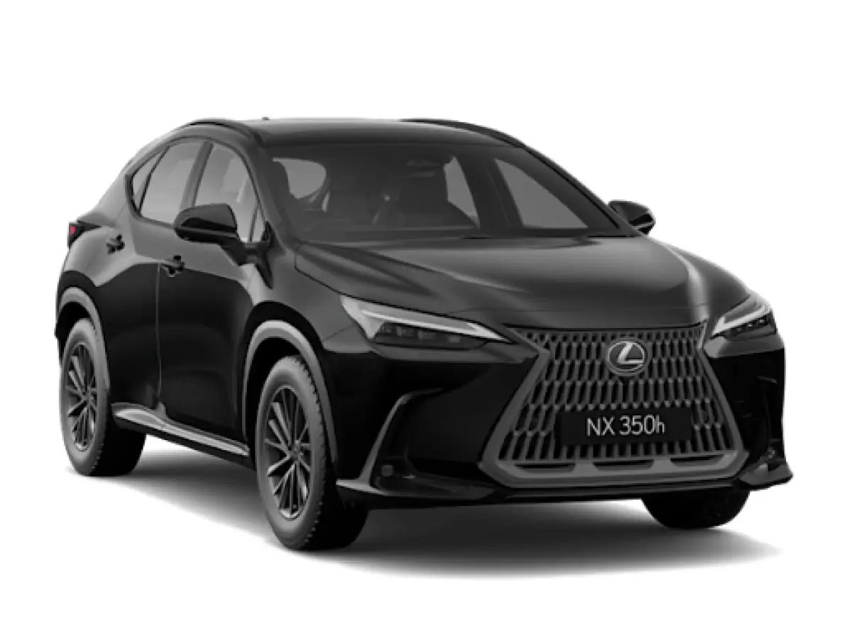 Lexus NX Graphite Black Glass Flake